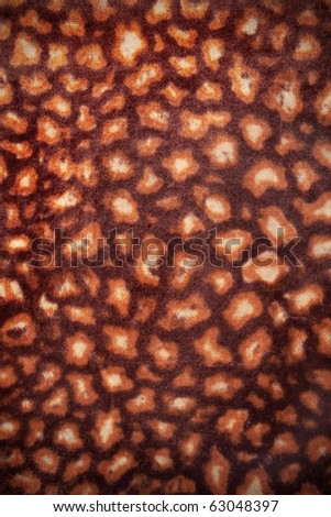  background - leopard skin