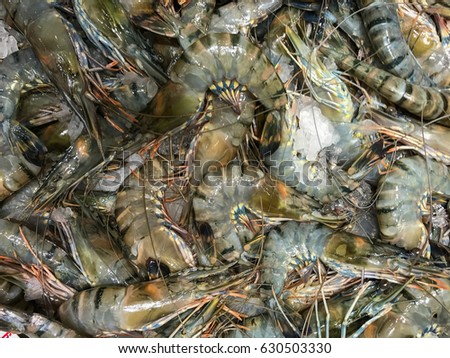 Fresh uncooked shrimps. Food flat background.