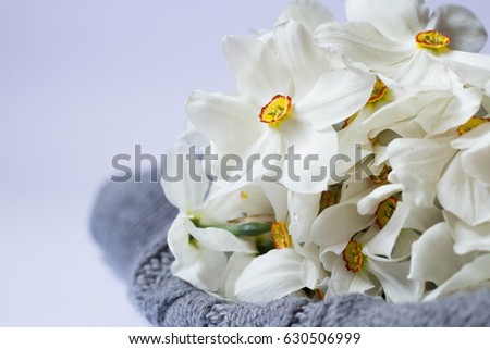 White daffodils on grey knitted background