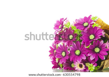 Plastic flowers, on a white background