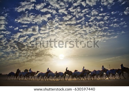 Group of camel riders walking in desert, beautiful evening cloudy sky background. Horizontal image and free text space for holiday, wildlife advertorial ad. Beautiful Nature and Sunset