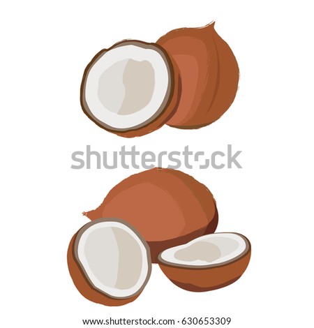 coconut fruit fresh