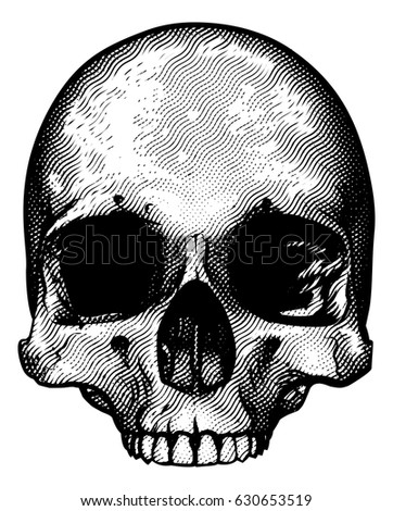 Skull in a vintage retro hand drawn woodcut etched or engraved style