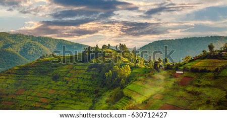 Beautiful landscape in southwestern Uganda, at the Bwindi Impenetrable Forest National Park, at the borders of Uganda, Congo and Rwanda. The Bwindi National Park is the home of the mountain gorillas. Royalty-Free Stock Photo #630712427