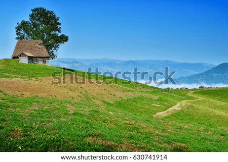Apuseni Mountains, Transylvania - Romania