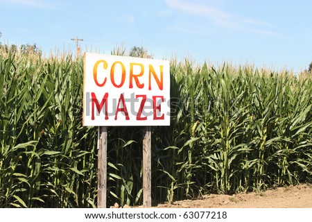 Corn Maze sign on autumn cornfield