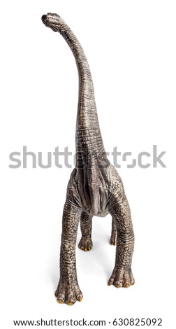 Brachiosaurus dinosaurs toy isolated on white background with clipping path.
Dinosaur from the Jurassic Morrison Formation of North America. Front view.
