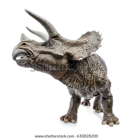 Triceratops, wide front view dinosaurs toy isolated on white background with clipping path. Genus of herbivorous ceratopsid dinosaur.