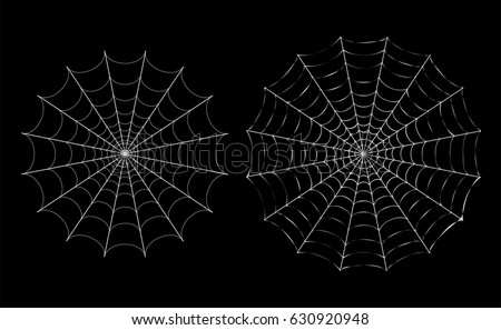 Isolated White thin Spider web on black, vector