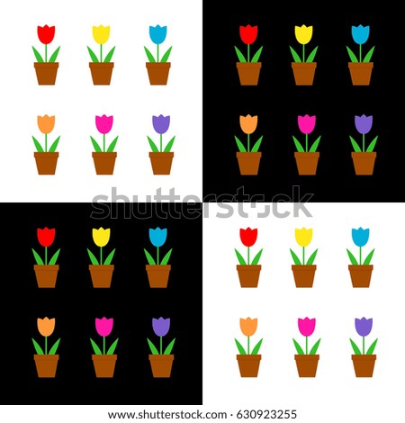 Tulips - variety of colors