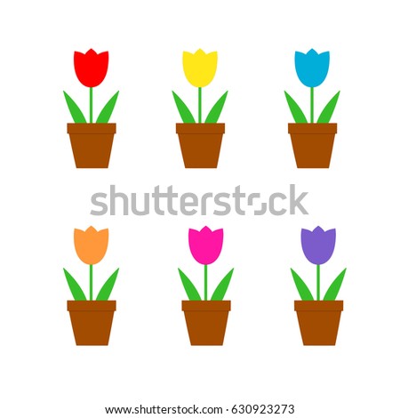 Tulips - variety of colors