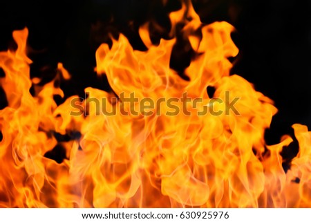 Hot fire flames on black background.