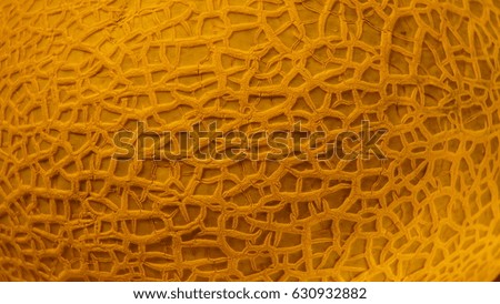Texture of a melon skin for the background, texture macro, close up photo.