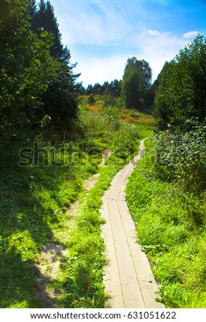 road in a forest with colourful flowers and lush green grass against a blue sky lit by bright summer sun