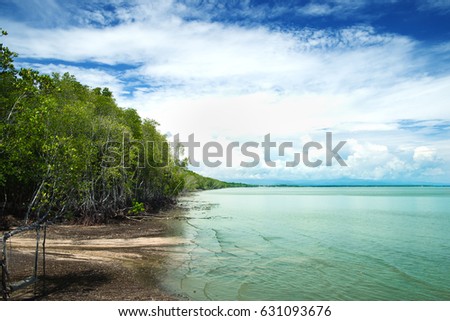 Where the jungle meets the sea. Ocean and tropical beach. Vacation background. Contrast and saturate color.
