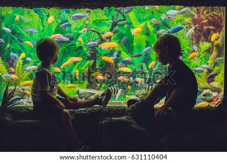 Two boys look at the fish in the aquarium.