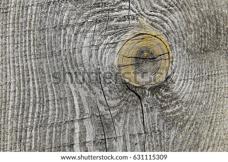Grey wood texture background