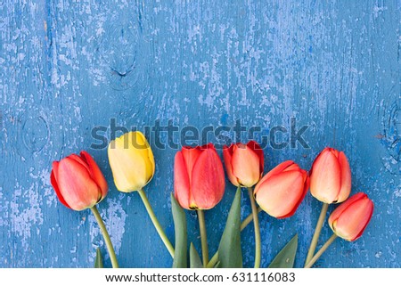 Wooden blue background and red tulips. Beautiful flowers on antique texture. Feast of the concept, March 8, Mother's Day