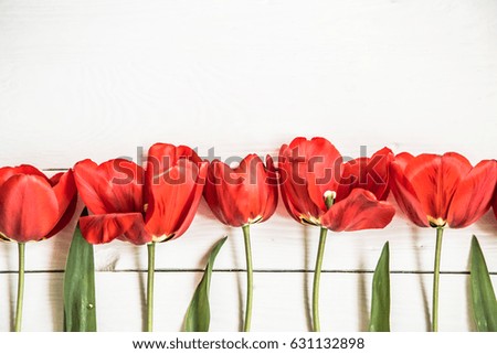 Red tulips on white wooden background, in a row ,closeup,concept spring flowers