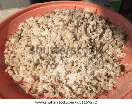ant eggs, Eggs are used for cooking