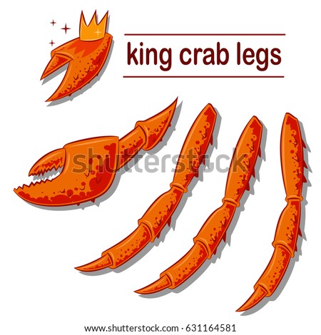 King crab legs and claws. Vector cartoon illustration of sea delicacies isolated on white background.