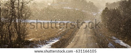 Light shines through snowy weather on a curved country road, backlit snow particles making image soft, panorama