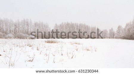 Winter foggy landscape in polish countryside. Bad cloudy weather and hoarfrost on trees.