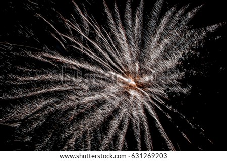 sparkling firework on night seen from a park and trees siluettes