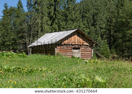 Summer cottage is made from the wood. Green forest is located around the house. The building is on the top of Ukrainian Carpathian mountains. 