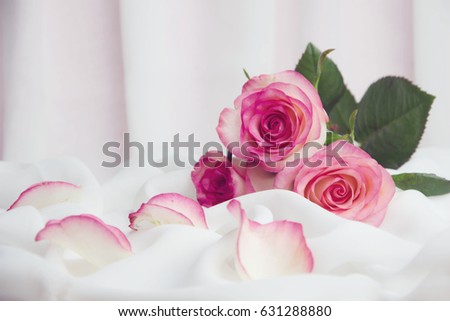 Pink roses on soft silk.