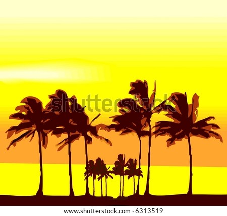 Palm Trees On Sunset Illustration