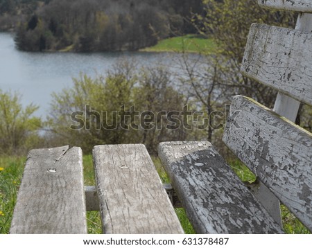 Bench on the shore of the lake near the forest. Sunny peaceful day sharp photo image/