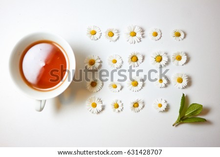 White cup with herbal chamomile tea on the white background. Near are the small flowers of chamomile and branch of mint. The line of camomiles. Top view. Royalty-Free Stock Photo #631428707