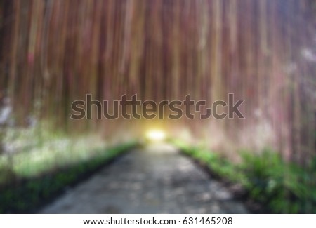 Abstract blurred background about garden.