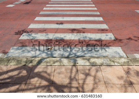 shade of tree on white crosswalk surface