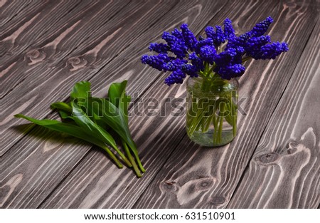 Blue wildflowers of muscari in a glass vase on a wooden table. Spring still life.