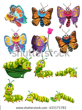 Caterpillars and butterflies with colorful wings illustration