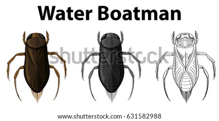 Doodle character for water boatman illustration