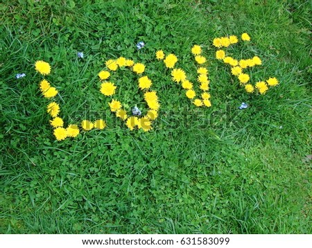 Love written in yellow dandelion flowers on green grass