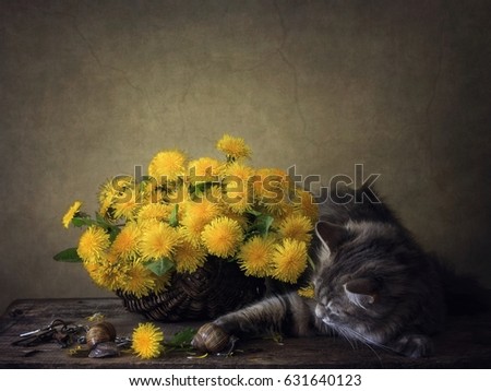 Cat and dandelion basket