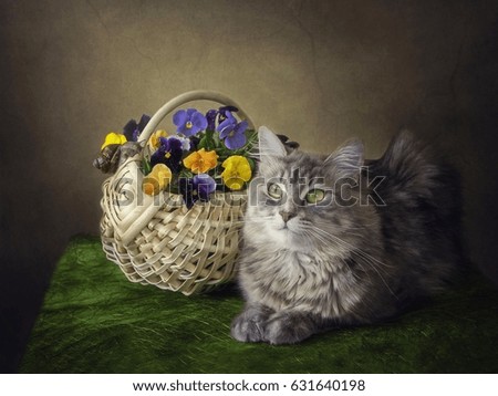 Cat and basket with flowers