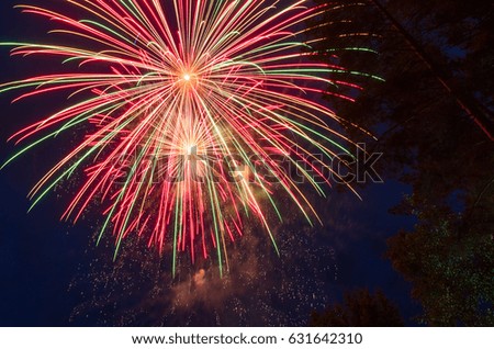 Colorful fireworks against the dark blue sky and trees. Long exposure.