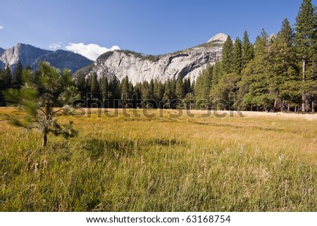 Sentinel Meadow in Yosemite Valley, Yosemite National Park, California, U.S.A.