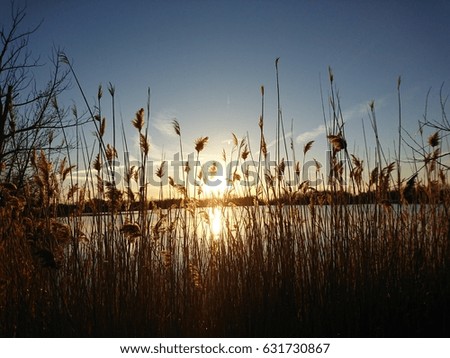 Anther fabulous sunset
 Royalty-Free Stock Photo #631730867