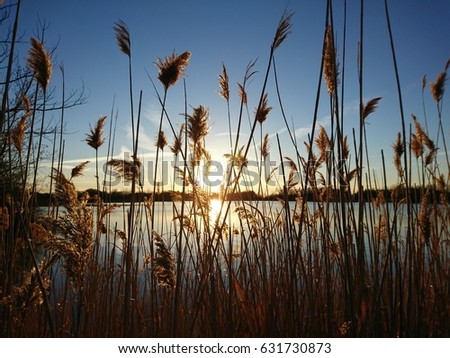 Great sunset Royalty-Free Stock Photo #631730873