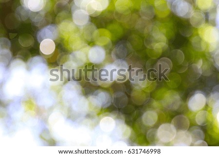 Abstract Image of forest
