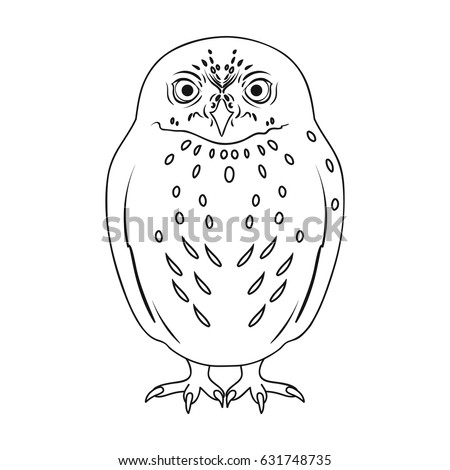 Owl.Animals single icon in outline style vector symbol stock illustration web.