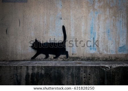 The cat was painted on the wall.(Thailand)