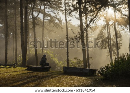Woman Traveler sitting on bench with forest aerial view Travel Lifestyle adventure vacations concept