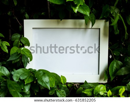 Close up of white photo frame over green bush and leaf background.
